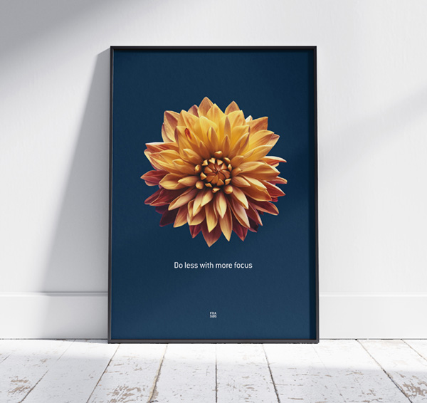 dahlia plakat 70x100cm