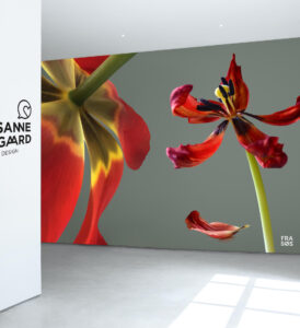 tulipan i storformat